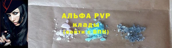 прущая мука Вяземский