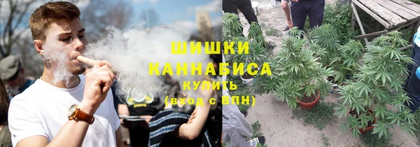 прущая мука Вяземский