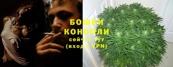 прущая мука Вяземский