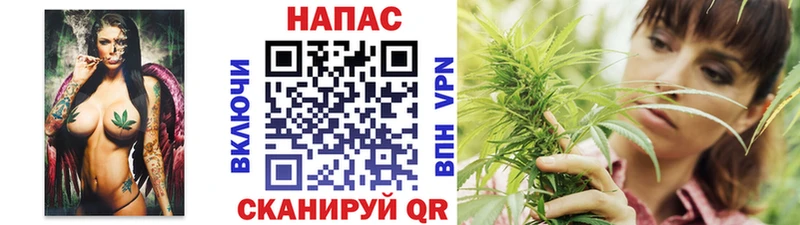 нарко площадка как зайти  купить наркотик  Тавда  Канабис семена 